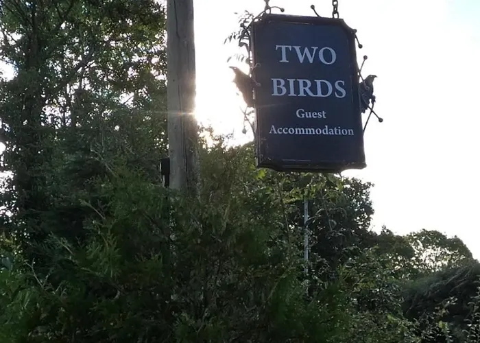 Two Birds Weekly Stay